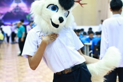 IMG_1434