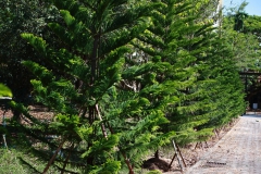 651605038_1345013040993930_5347228738334111414_n