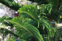 651654350_1345012874327280_1821918098717041979_n