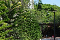 651826436_1345013057660595_9022492450705274859_n