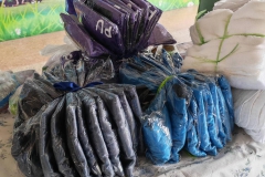 600270670_1272878721540696_6572147598705938441_n