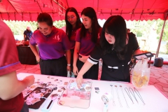 640118142_1331742382320996_1965124121337071728_n