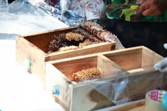 646839463_1337842815044286_4086095350338502190_n